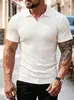 2026 Verano Nuevo Modelo Amazon Camisa Polo con Cuello de Solapa y Rayas, Camisa Polo Deportiva para Hombre, Venta al por Mayor desde Fabricante