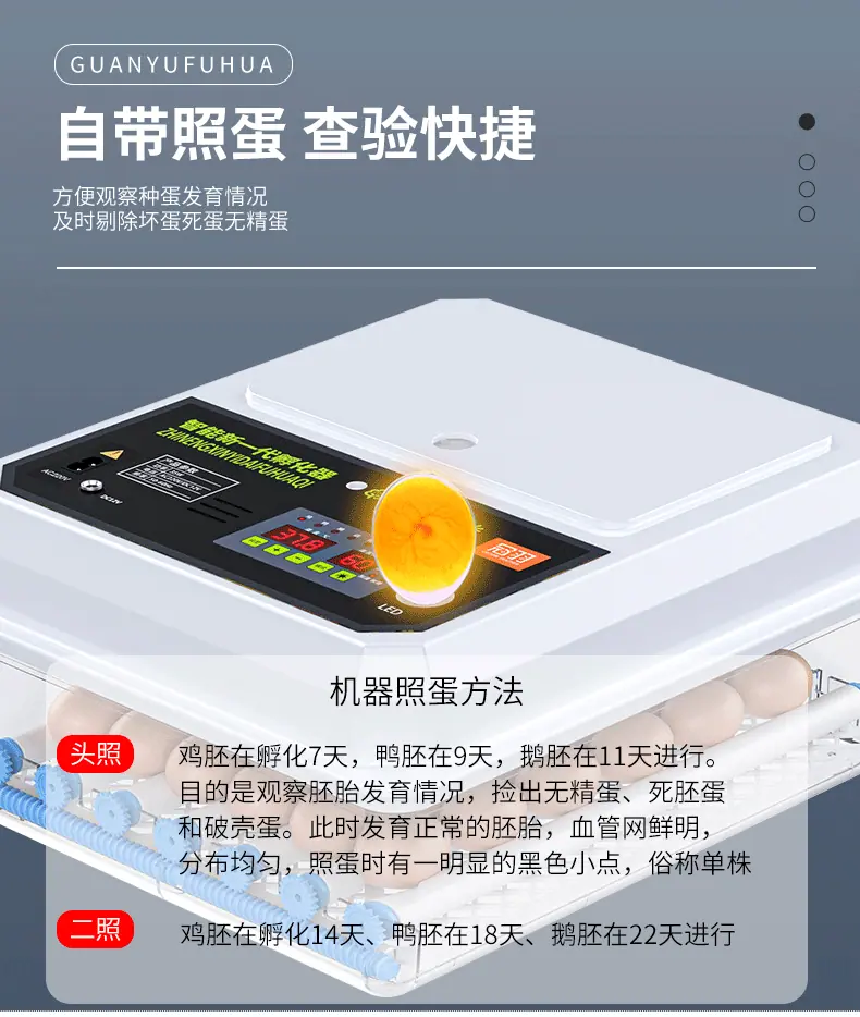 10.gif