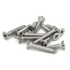 Tornillos Personalizados, Tornillos Autorroscantes de Acero Inoxidable, Tornillos Autorroscantes de Cabeza Avellanada Phillips Hechos a Medida, Tornillos Autorroscantes Personalizados, Clavos Autorroscantes