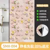 Película de Vidrio Opaca Total Estilo Ins Transfronteriza, Anti-Miradas Indiscretas, Parasol, Película para Ventana de Protección Solar, Pegatina Opaca para Ventana