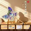 Pacote de Material DIY Tecido à Mão para Crianças Estilo Chinês Ventilador de Bambu Trançado Portátil Estilo Antigo Estilo Chinês Patrimônio Cultural Imaterial Ventilador Redondo