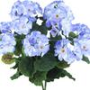 Venta transfronteriza de flores de begonia con simulación de viento de Amazon Temu, flores falsas para bodas, hogar, sala de estar, geranio, flores de seda.