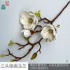Pintura de Magnólia com Três Cabeças Phalaenopsis com Três Cabeças Decoração de Paisagem Interna para Casa Flor Artificial Layout de Fundo Externo Flor de Seda