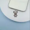 2D Nuevo Oso Grizzly Pequeño de Acrílico Popular Transfronterizo Colgante Tipo C Tapón de Polvo para Teléfono Móvil de Acrílico