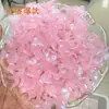Glitter gelatinoso luminoso com furo médio cauda de fênix borboleta perolada faça você mesmo acessórios para pendurar acessórios para cabelo atacado