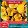 Fábrica de atacado de cogumelos chanterella Yunnan, especialidade de cogumelos chanterella xanthomycetes, saco de sopa de cogumelos secos a granel em estoque