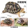 Juguetes Sólidos Transfronterizos para Niños Mini Modelo del Océano Criaturas Biológicas Realistas Tiburón Ballena Tortuga Marina Delfín Orca Figuras