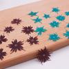 Yanlai flor roja gota de pegamento flor seca Estrella/redonda Yanlai flor roja espécimen de planta flor real en relieve joyería de flor