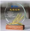 Troféu criativo de alta qualidade medalha criativa cartão de agradecimento de cristal temporada de formatura professor médico souvenir de aposentadoria gloriosa