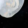 Pendientes de Acero Titanio con Colgante de Trébol de Cuatro Hojas Dorado, Elegante Estilo Femenino, Pendientes de Tuerca para Doble Perforación, Pendientes de Hélice, Aros Dorados para Mujer