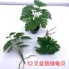 Nova Planta Transfronteiriça Folha de Caladium Mini Anjinho Parede Verde Paisagismo Folha Decorativa Material Display de Restaurante Plantas Verdes