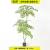 Árbol Banyan Artificial en Maceta para Decoración Interior del Hogar y Escaparate