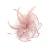 Diadema de Malla con Plumas y Pasador para el Cabello de Amazon Transfronterizo, Accesorios para el Cabello de Novia, Fiesta de Bodas, Flor para el Cabello de Fiesta de Té, Estilo Retro Femenino