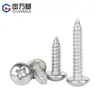 Tornillos Autorroscantes de Acero Inoxidable 304 Pasivado de Cabeza Redonda Phillips, Tornillos de Cabeza Plana Resistentes a la Corrosión, Tornillos para Madera M3-M6