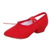 Zapatos de lona para profesora, zapatos de práctica de yoga, suela suave con raíz, zapatos de ballet estándar nacional para baile en interiores, zapatos de baile étnico para mujer