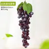 Racimos de Uvas Pan Dulce Simulados con Escarcha, Hojas de Fruta Falsas, Decoraciones de Vid, Accesorios para Fotos al por Mayor
