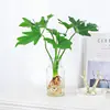 Plantas Hidropónicas Pluma de Primavera Filodendro en Maceta Interior Lluvia de Primavera Plantas Verdes Potos Perenne Cultivo en Agua Bueno Estilo de Escritorio Ins