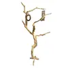 Ramas Secas, Ramas de Madera Natural, Ramas Secas Artísticas, Ramas Muertas, Troncos de Árbol, Formas de Árbol, Percheros de Pared, Decoraciones de Ramas para Techo