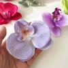 Grampo de Cabelo Phalaenopsis Atmosfera Mori Super Fada Celebridade da Internet Foto de Viagem Clipe para Franja Clipe Bico de Pato Grampo de Cabelo Flor Lateral