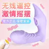 Vibrador Vestível com Controle Remoto Sem Fio, Varinha Vibratória, Dildo Feminino, Dispositivo de Masturbação, Brinquedo Sexual Adulto Fábrica Fonte