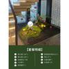 Planta Verde Simulada Paisajismo Helecho Cabeza de Mono Seda Dorada De Pie Planta Biónica China Decoraciones de Paisaje Interior Adornos Plantas Falsas en Maceta