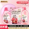 Venta al por mayor del fabricante Jielexin Lavanda Diario Juego de Cuatro Piezas Detergente para Ropa Polvo para Lavar Paquete del Mercado Ambulante de la Calle Jianghu
