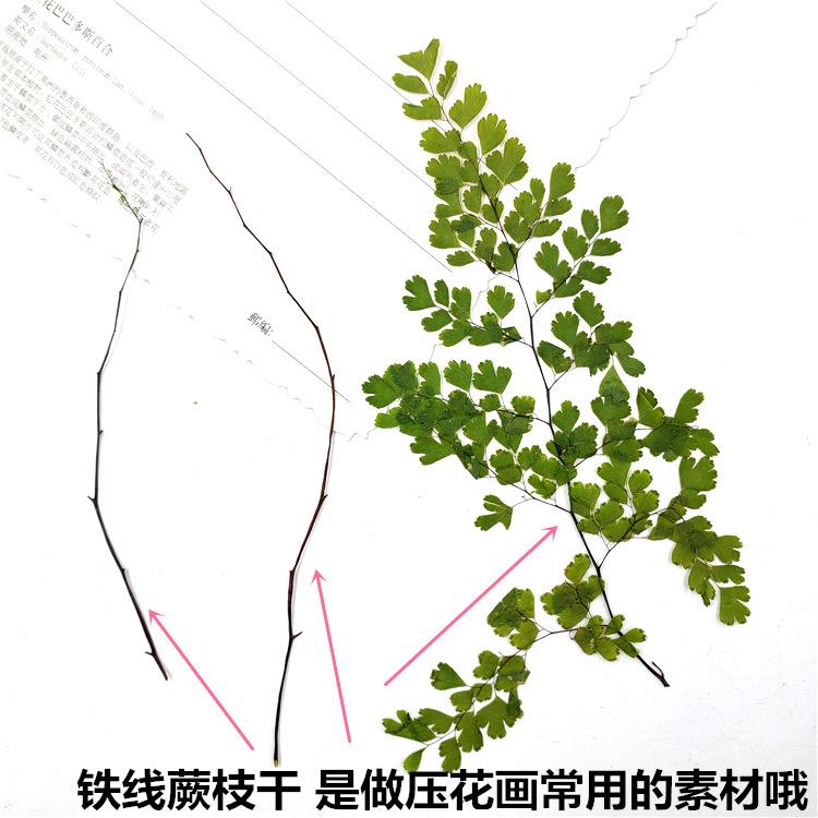 IMG20200306154539