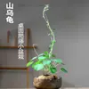 Montaña de Vid Roja Tortuga Planta Dorada Trepadora Balcón Patio Flores Fáciles de Cultivar Planta Verde de Oficina Maceta Absorbente de Formaldehído