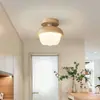 Luz de Pasillo Piña Crema Viento Tronco Entrada Luz de Techo Moderna Simple Protección Ocular Pasillo Vestidor Luz de Espectro Completo