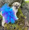 Disfraz Europeo y Americano para Mascota Color Block Oso Salsa Falda Fiesta de Gato Fiesta Disfraz Perro Día de Halloween Falda Salsa