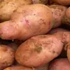 Patatas rojas de piel, amarillas por dentro, frescas de Yunnan, recién cosechadas 10/ 1.5kg semillas de patata pequeñas, patatas cultivadas en granja, venta al por mayor
