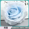 Cabezas de Rosas Artificiales, Tamaño Mediano, Núcleo Envuelto, Decoración de Pared, Accesorios para el Frente del Coche, Flores de Seda, Decoración DIY, Adornos para Ropa, Ramos de Flores Artificiales