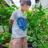 Materiales Teñidos con Plantas Tie-Dye, Toallas Cuadradas, Bolsas para Frotar, Cojines, Sombreros de Pescador, Colección de Frotado y Teñido Teñidos con Plantas
