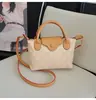 Bolsa Transversal Elegante de Alta Qualidade Bolsa de Mão Versátil Novo Modelo 2025 Bolsa de Ombro Bolsa de Mão da Moda Bolsa Estilo Dumpling Francês