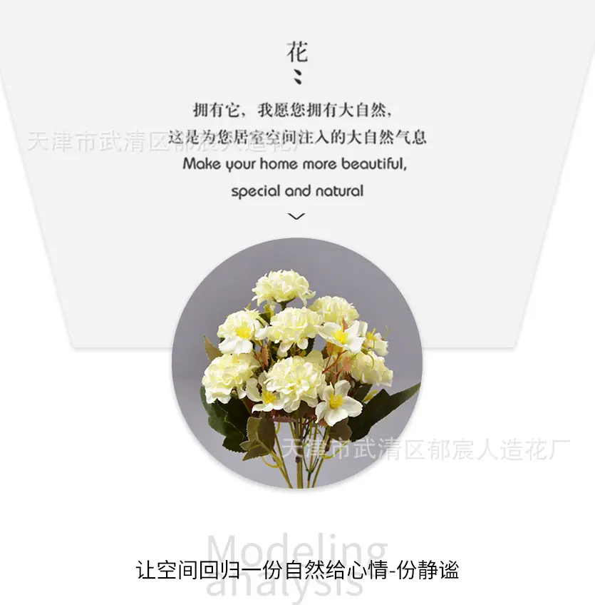 详情_05.jpg
