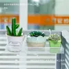 Renovación de estación de trabajo de oficina Estante de almacenamiento de hierro forjado Almacenamiento en el alféizar Soporte para plantas de interior Soporte para plantas suculentas de escritorio Gancho para plantas de escritorio Florero