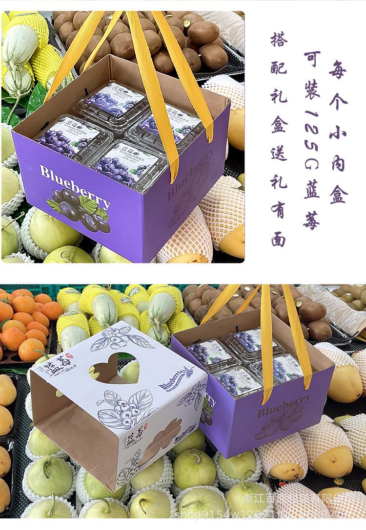 蓝莓总_19.jpg