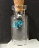Japonês e Coreano Mais Vendidos Fresco e Doce Garrafa de Vidro de Garrafa de Deriva Trevo de Quatro Folhas Dente-de-Leão Flor Real Flor Seca Colar Modelo de Melhor Amiga