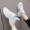 Zapatillas de mujer ultraligeras White Pillow Crane, tallas limitadas, malla transpirable de primavera para estudiantes, suela suave, no rozan los pies, zapatillas de papá