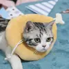 Anillo Elizabeth collar para gato collar para gato rosquilla de aguacate sombrero para mascota de gato anillo de vergüenza anti-lamido