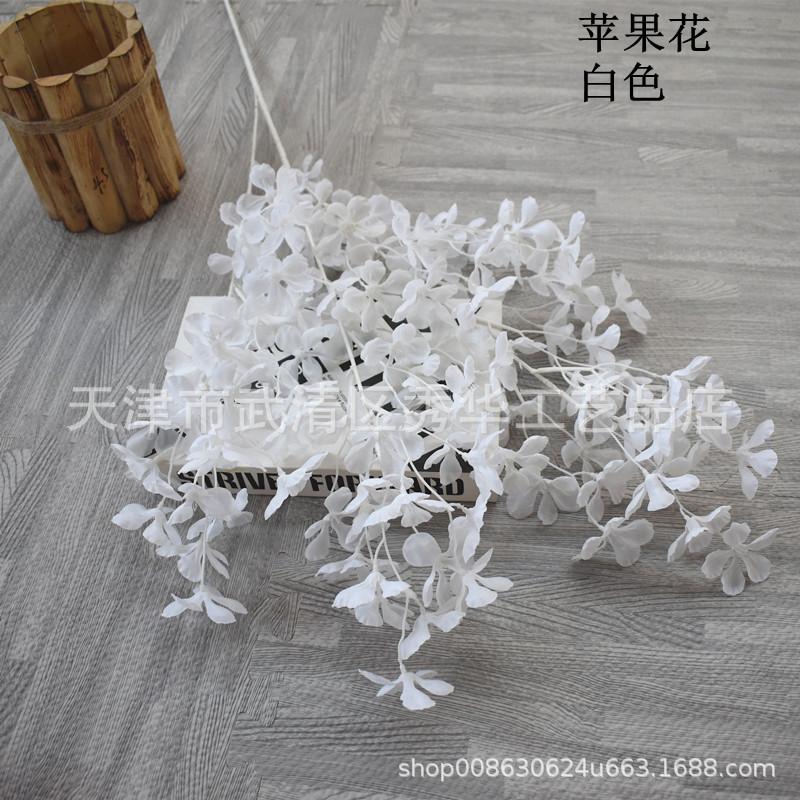 苹果花白色_副本