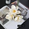 Simulación de 3 Magnolia con tacto EVA Decoración de oficina en casa coreana Flor flor de magnolia falsa al por mayor