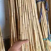 Actividades de Manualidades para Jardín de Infancia: Tallos de Caña Hueca, Ramas de Caña, Cañas Reales Peladas para Decoración de Techo