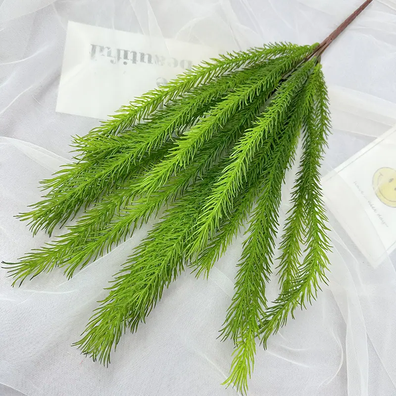 狗尾草 深绿色