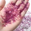 Resina acrílica color transparente tamaño pequeño forma plana broca para uñas color mezclado espíritu cálido aurora champán adornos para uñas