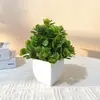 Maceta Cuadrada Transfronteriza Planta Verde Artificial Bonsái Plástico Planta Artificial Planta en Maceta Decorativa Decoración de Escritorio Sala de Estar Estudio