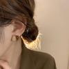 Otoño e Invierno Nuevos Pendientes Serie Maillard Marrón Retro Lujo Ligero Estilo Nicho Ins Pendientes Combinables para Mujer Venta al por Mayor