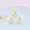 Accesorios para Zapatos tipo Clog de Cachorro de Dibujos Animados de Resina Flor para Zapato Hebilla de Zapato Pegatinas para Funda de Teléfono DIY Piezas Decorativas Materiales