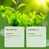Solución Nutritiva para Enraizamiento Moonspry Nutre las Raíces de la Planta, Suplementa Nutrientes y Promueve el Crecimiento de las Raíces