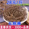 Cenizo, Cuscuta, Cuscuta, Vid sin Raíz, Red de Cuscuta Venta al por Mayor y Entrega